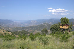 cabinporn:  Treehouse in the mountains near Eskişehir,