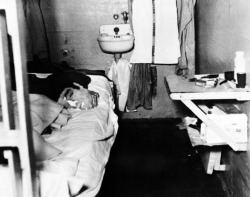 The dummy head used by John Anglin to fool prison guards while he escaped from Alcatraz with his brother Clarence and Frank Lee Morris, June 1962.