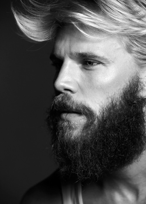 abeautifulindiscretion:  Distinguished Beards