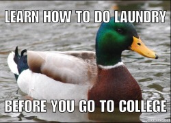 advice-animal:  After having to help 10 freshman this morning.http://advice-animal.tumblr.com/   How the fuck do you not know how to do laundry by the time college comes around&hellip;.?????