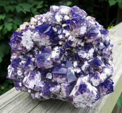 Limited find, “Purple Haze” pocket 2018, Large cabinet Color change Fluorite. Diana Maria mine, Wear