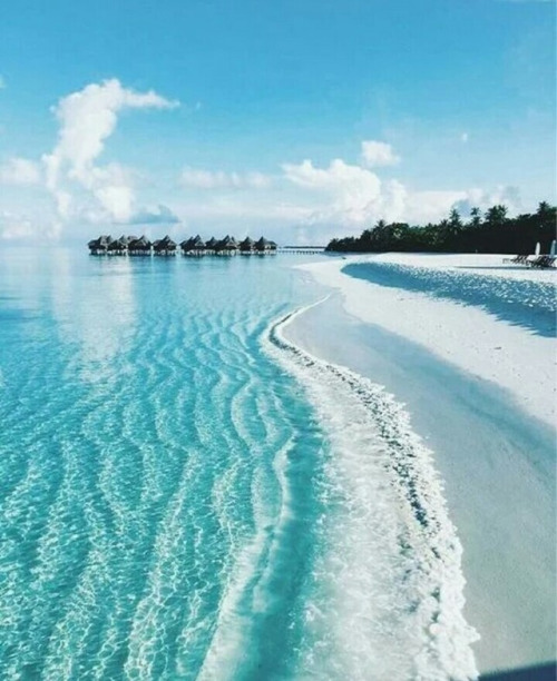 summer-spirit:  ☀🌴🌊