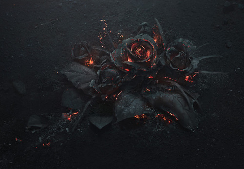 mymodernmet:  Photographer Captures the Poetic Beauty of a Smoldering Rose Bouquet