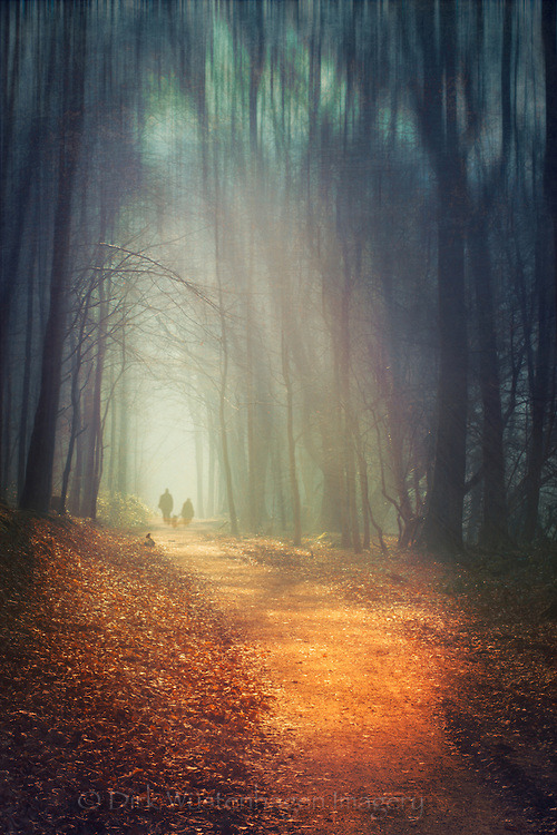 dyrkwyst:  (via liquid dreams | Dirk Wuestenhagen Imagery) 