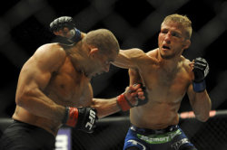 ufcmmapictures:  UFC 177: TJ Dillashaw vs Renan Barao 2 official for Aug. 30 in Sacramento FREE ษ AMAZON GIFT CARD