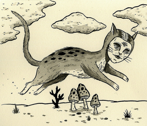 esobvio: Cat Leaping Over Toadstools by Crispy Copper on Flickr.