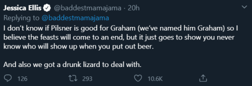 shadow-daughter:  awed-frog:  Okay but imagine you’re a tiny lizard living your humble & scaly life well hidden inside tomato leaves and then one day God starts leaving hills of brownies and avocado toasts three times the size of your head right