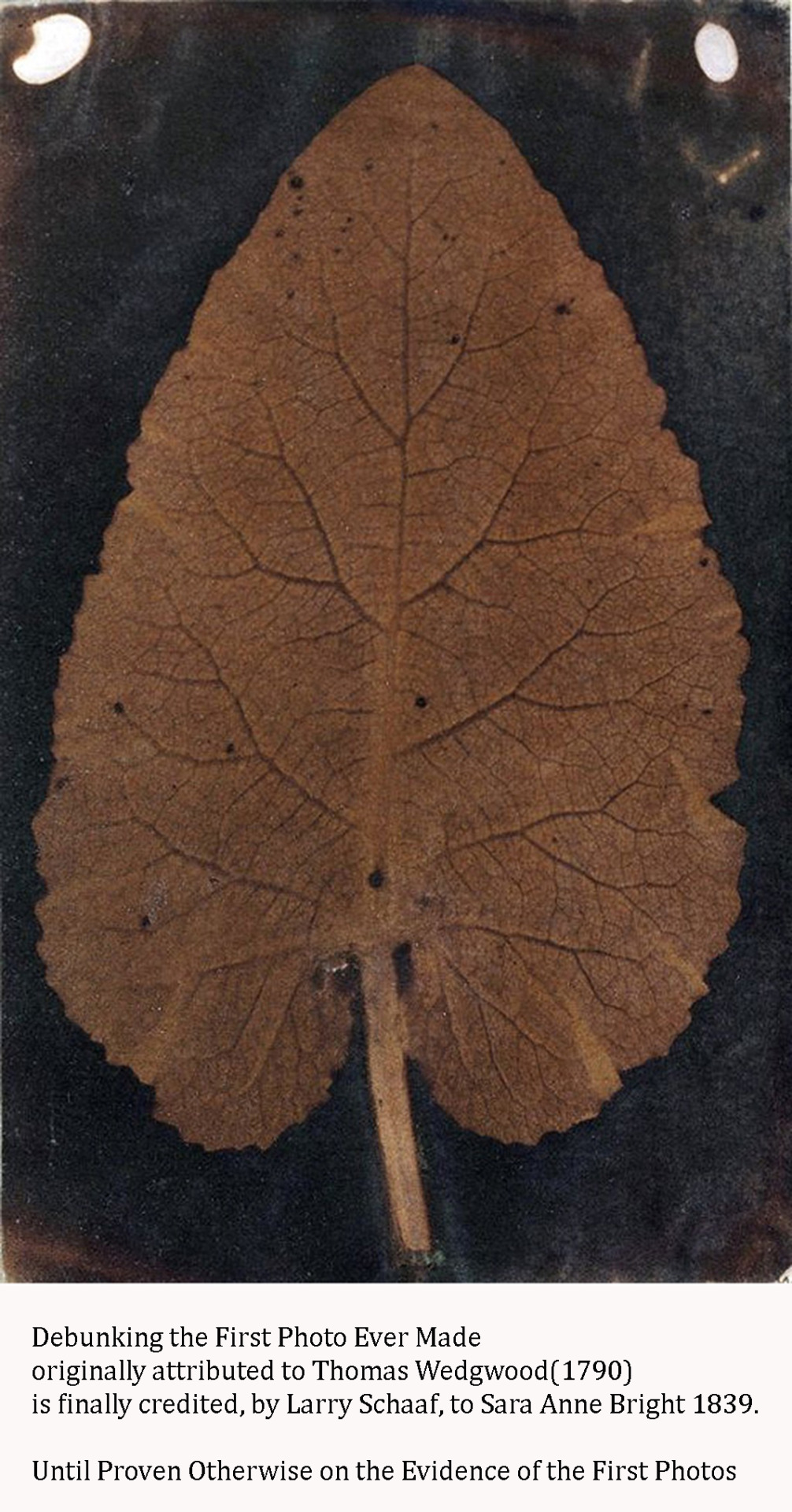 The intriguing story of the “Damned Leaf” until now considered the First surviving Photo.
Since 2008, when the photo appeared at the Sothebys’ auction, the photo was dated 1790 and credited to Thomas Wedgwood, one of the Photography pioneer...