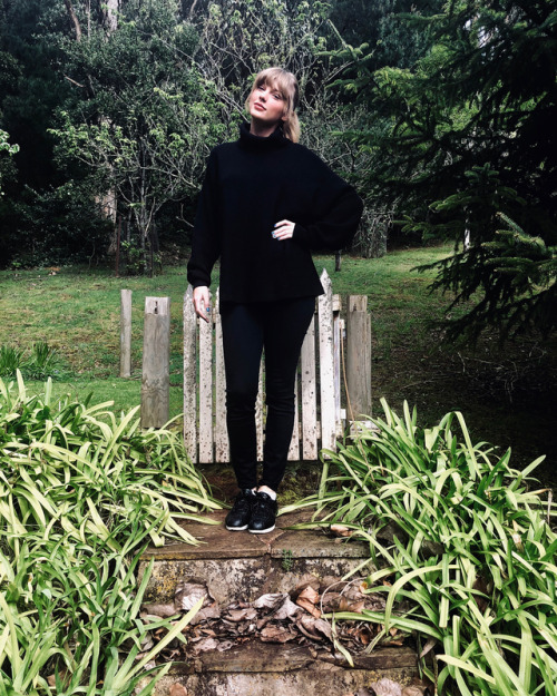 paths-of-my-childhood:taylorswift: Here we can observe an Australian swiftlet in her natural habitat