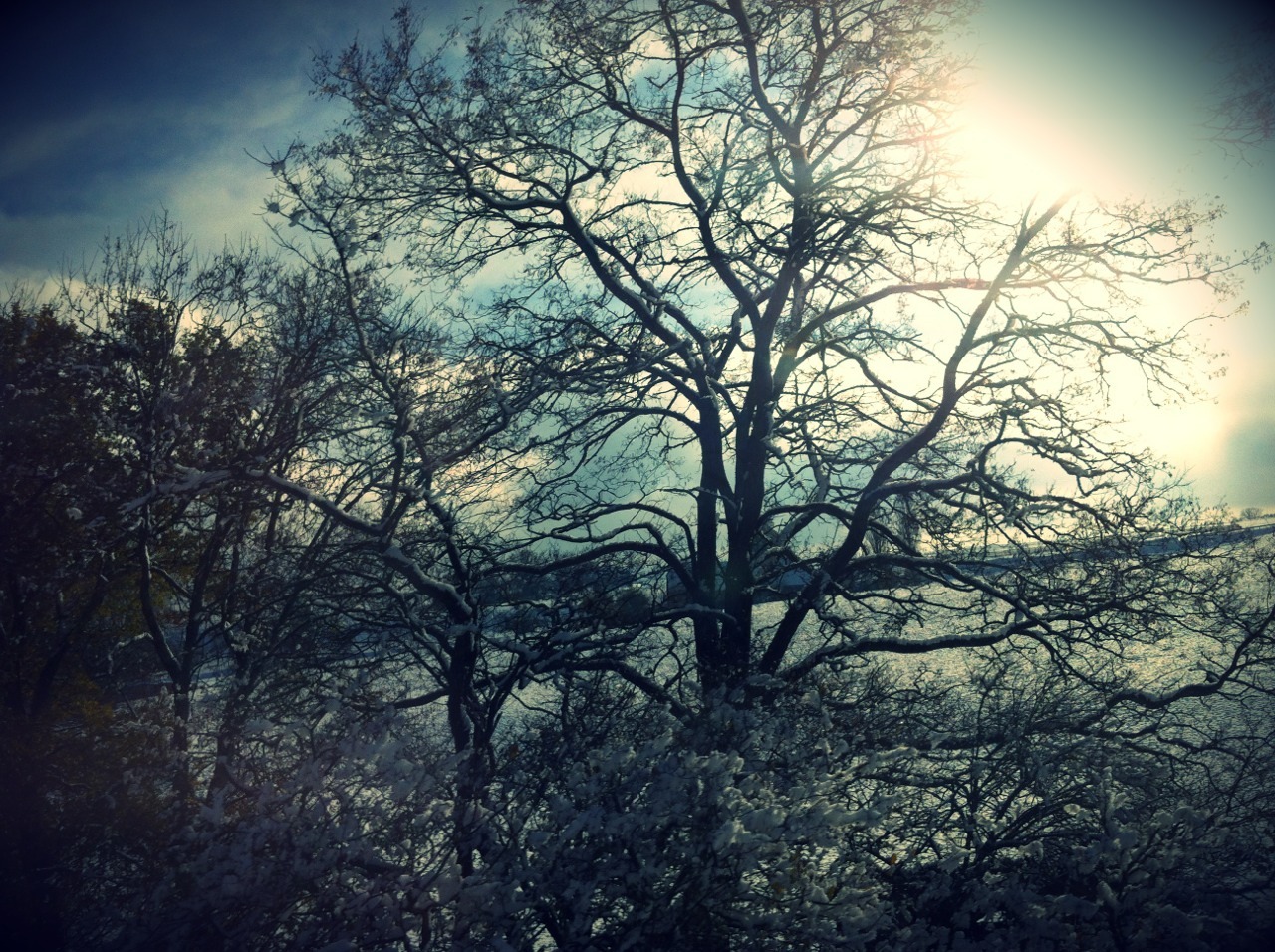 julythetavernwench:  Hello Switzerland !  Snow is here! &lt;3