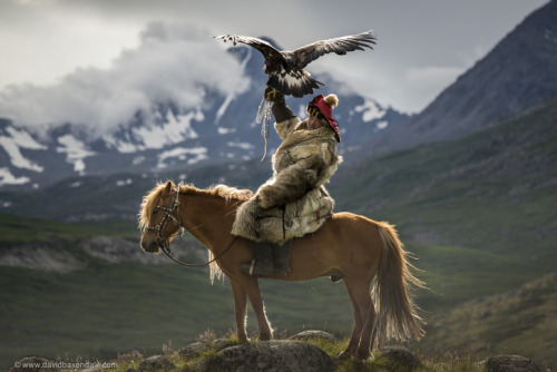 irkbitig: Hunting with eagles is a traditional form of  falconry  found through out the Eurasian  st