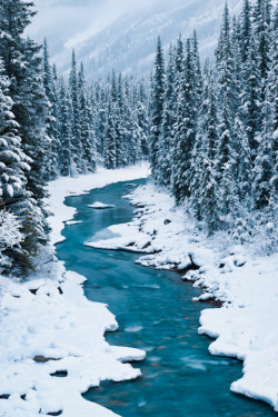 4nimalparty:  Bend in the North Saskatchewan River: Banff National Park, Alberta (by Mike Blanchette) 