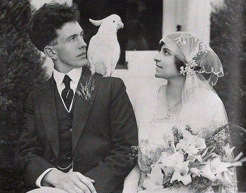 1920s brides (click to enlarge)