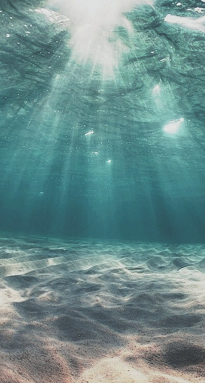 califoreign:  CaliForeign | Nature 