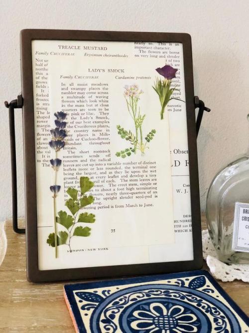 Pressed Flower Frames //BotanyLondon