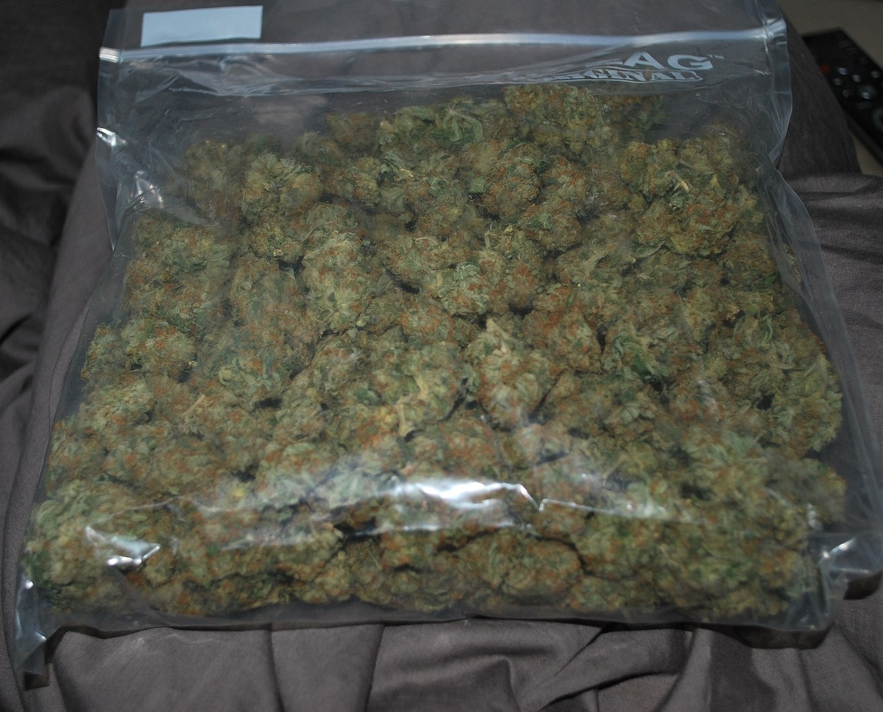 Mostly About Cannabis! — geebeesweedies: Opened up a fresh half of...