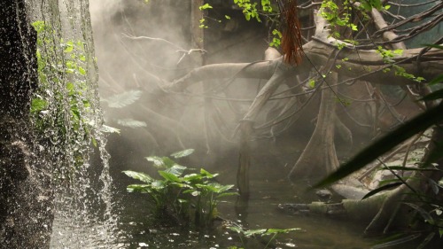 michaelvincentphotography: Waterfall Jungle/tropical blog