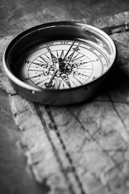 Where to next for this traveler of the wind&hellip;?