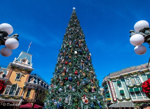 disneylandnow:Disneyland Christmas Tree 2015 by Dominick Tabon