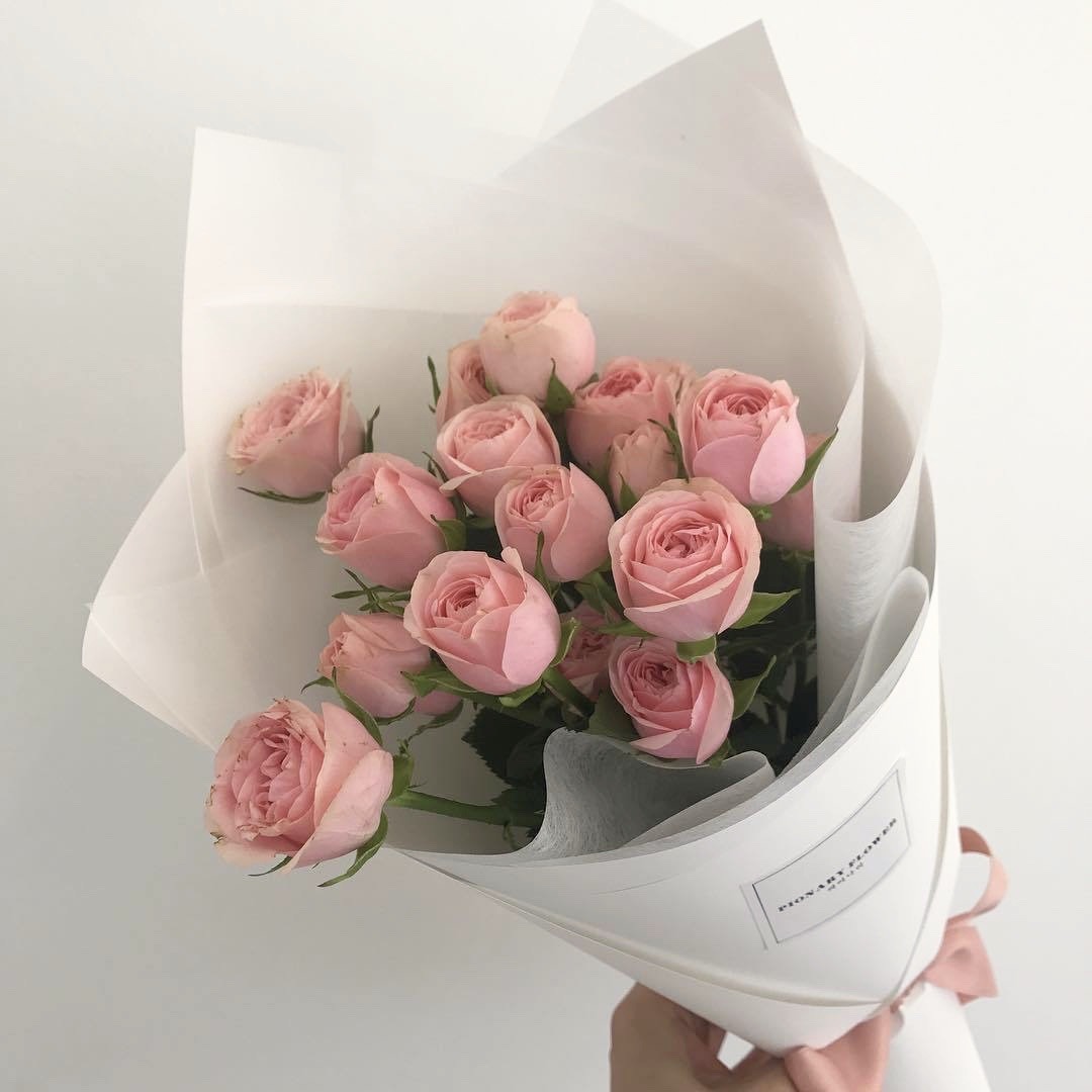 jiminrose-remade:  𝕒𝕣𝕔𝕙𝕚𝕧𝕖 𝕓𝕠𝕒𝕣𝕕 | for @cafelunes