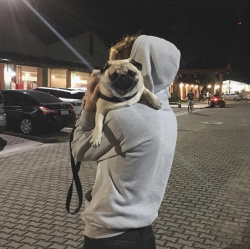 https://64.media.tumblr.com/a0d575cbb907536f12e828e7103da3f2/tumblr_o9ego2acQF1uve38bo1_500.png