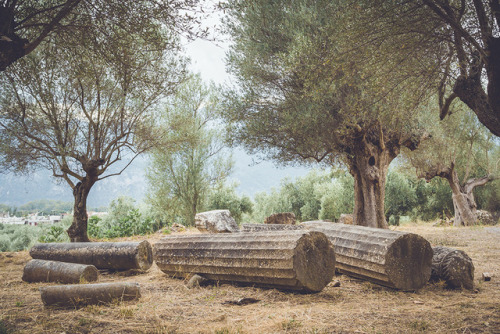 Sparta, GreeceGreece | Ancient ruins 