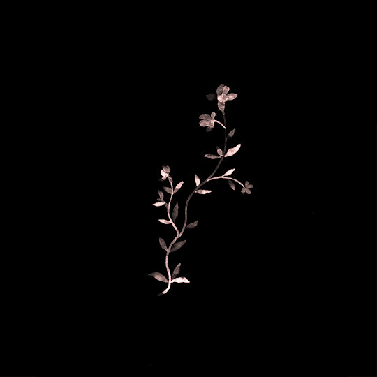 ▪▪▪RAW▪▪▪