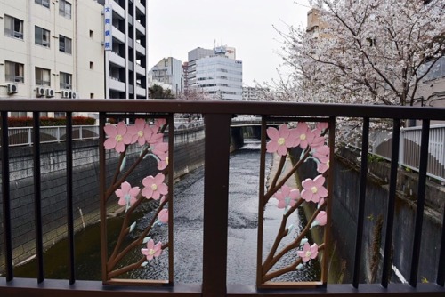 tokyogems:walking alongside the kanda river . 神田川。