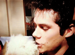 inderlander:  Dylan O’Brien kissing a puppy. MTV Movie Awards 2014. 