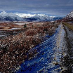 travelyukon:  The Dempster Hwy heading north through Tombstone Park. I never grow tired of the ever changing moods of this region. Photo by joebishop22 