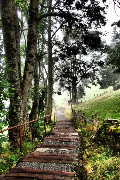 greatwideworldphoto: Stairway to Heaven | Original by Great Wide World Photography Taken in Swi