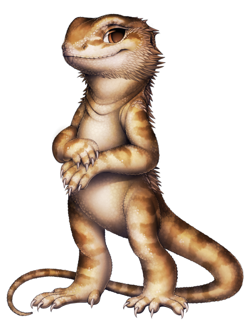 furvilla:  Reptiles! Albino Ball Python, Corn Snake, Ball Python, Milksnake, King Cobra, Arizona Whiptail, Collared Lizard, Bearded Dragon 