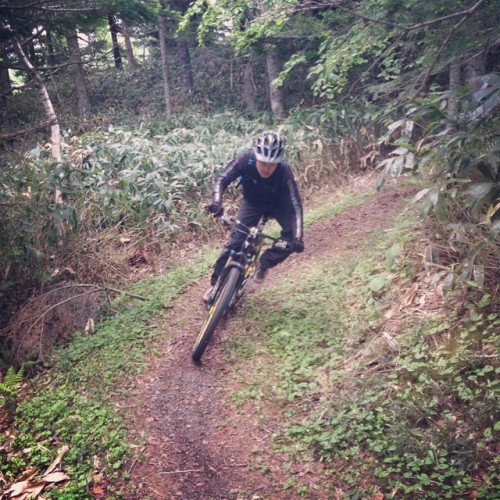 ridenorthstar: 今日も雨予報を打ち破り、順調にツアーが進んでいます。 #graphite_design #gd #mtbtours (乗鞍高原)