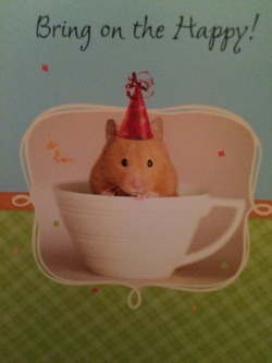 First birthday card and its from my Mom since I&rsquo;m a hamster Mom