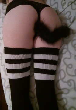 g3rmancatgirl:  Kitten waits till Daddy is home.. :* Kitten wants to play 😜