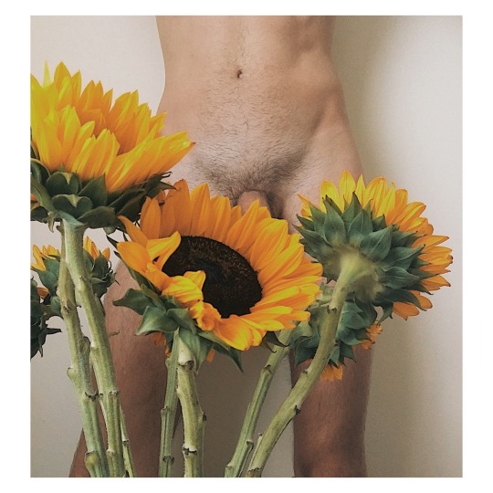 aandreeww:  more flowers 🌻