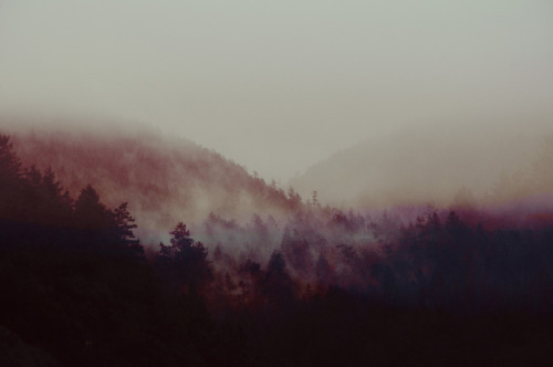 shoegazepeaks: by Parfois