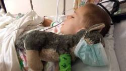 justdia:  Meet 9-year-old Joshua. He recently had to go in for surgery and was so nervous that he brought along his stuffed wolf. The wolf had a tear in its leg, so Joshua asked if his doctor could do a wolf surgery too. His parents said ‘no.’But