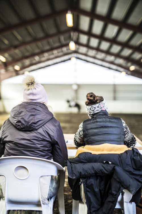 judges at the dressage showFollow me on instagram!Maz_foto