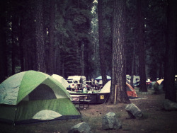 awomanwithasoul:   Camping life in Yosemitte