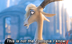 hamaduhs:  “Meanwhile, a peace rally organized by popstar Gazelle was marred by