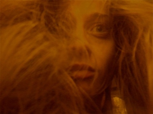 fionaapplerocks:Fiona Apple - Idler wheel promo photo