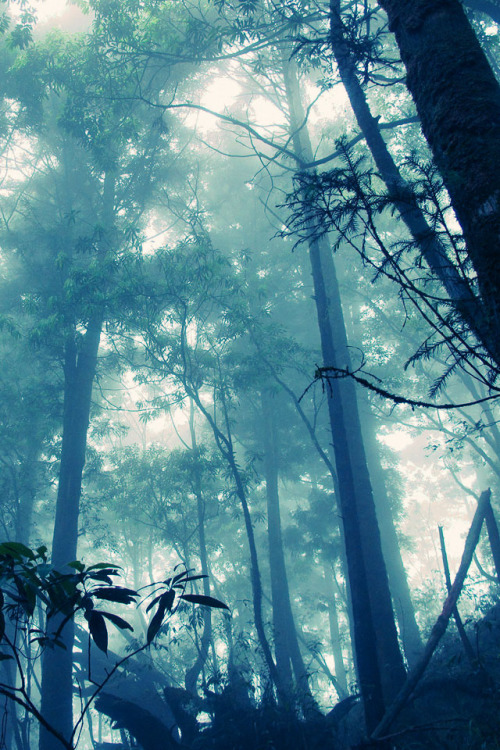 disminucion:  (por Hitoshi) 