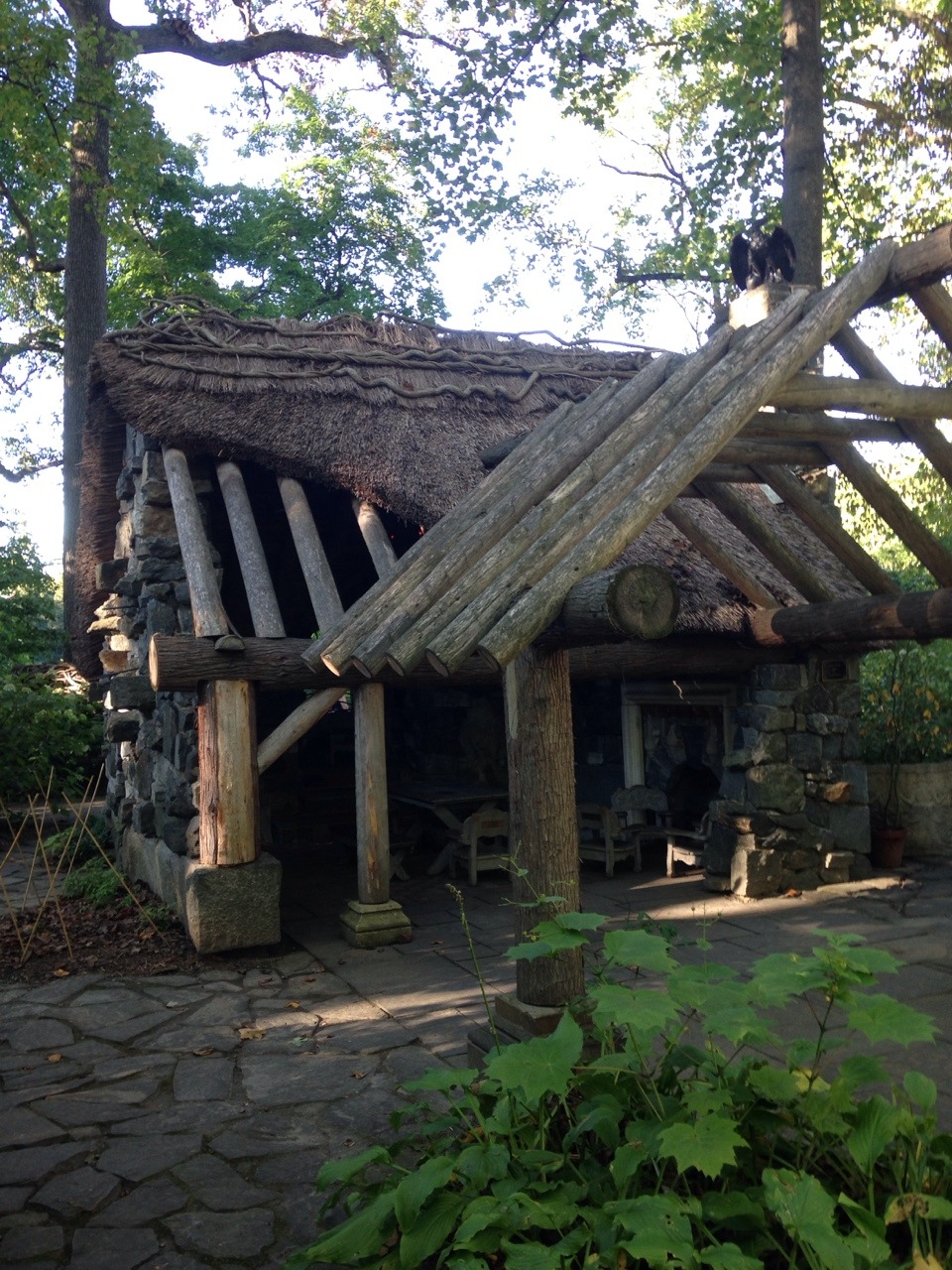 acronicta:  home is a cottage in the woods 9/27/14 