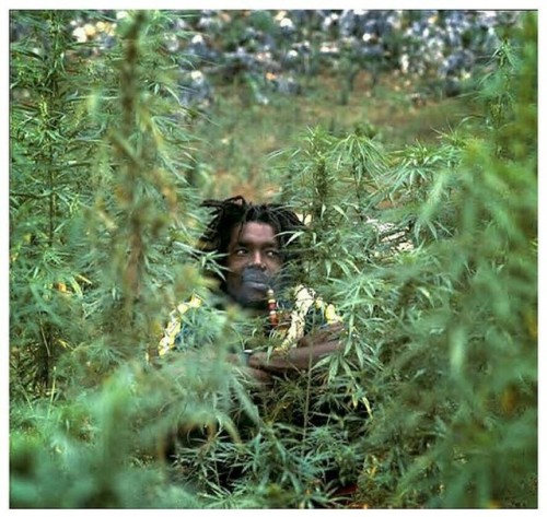 Peter Tosh.