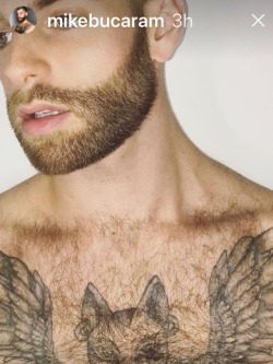 Beardburnme:mikebucaram Instagram