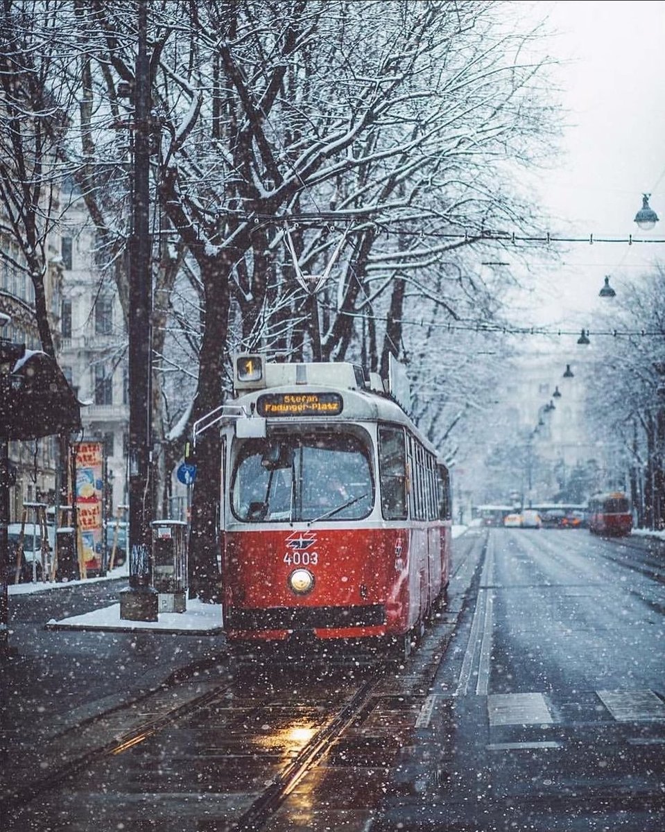 Viyana'da kış....