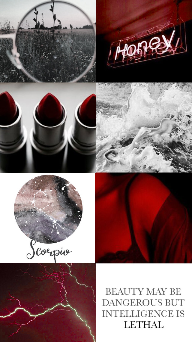 Scorpio aesthetic wallpaper  Scorpio Zodiac signs scorpio Scorpio art