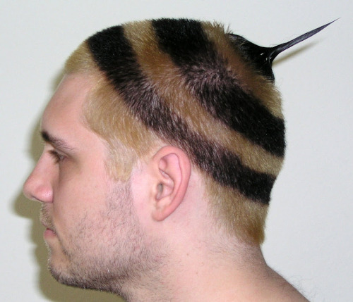 baebees:  go to ur hairdresser and ask for this