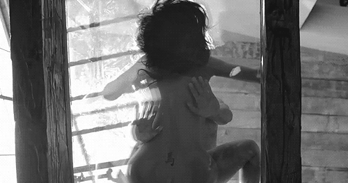 lovelyderriere: as seen through the window